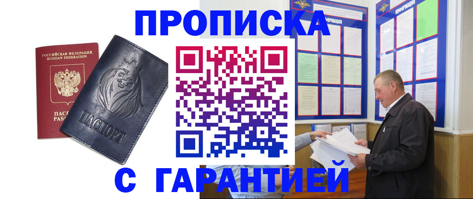 прописка поиск в Камышине