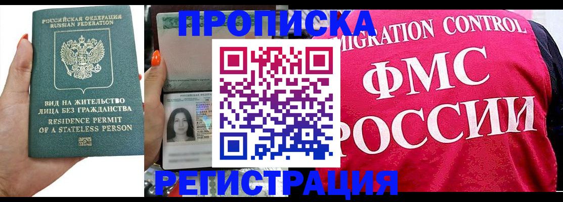 прописка гарантия в Камышине